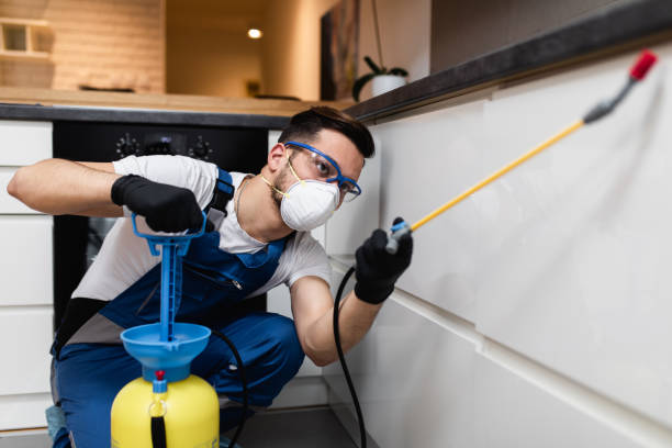 Best Pest Prevention Services  in Stillwater, MN