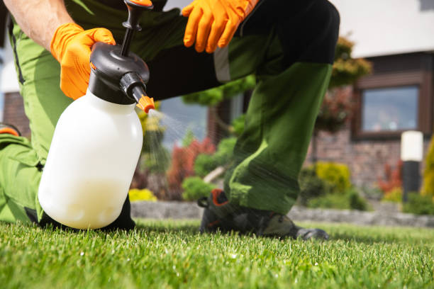 Best Wasp Removal Services  in Stillwater, MN