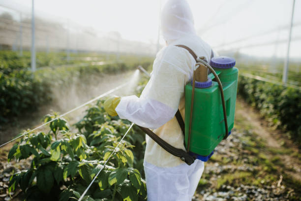 Best Best Pest Control Companies  in Stillwater, MN